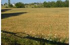 Property photo 86 - 21 Acre Modern Country Estate